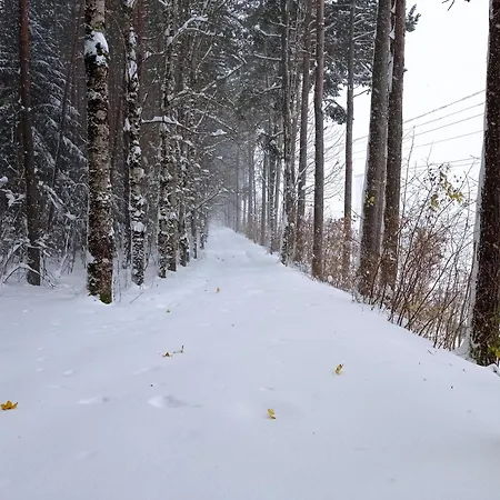 Apartament Fantastico - 75m - Reformado- Vistas A La Montana - Wifi - Acceso Trastero Junto A Parking Canfranc