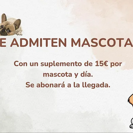 Fantastico - 75m - Reformado- Vistas A La Montana - Wifi - Acceso Trastero Junto A Parking Canfranc